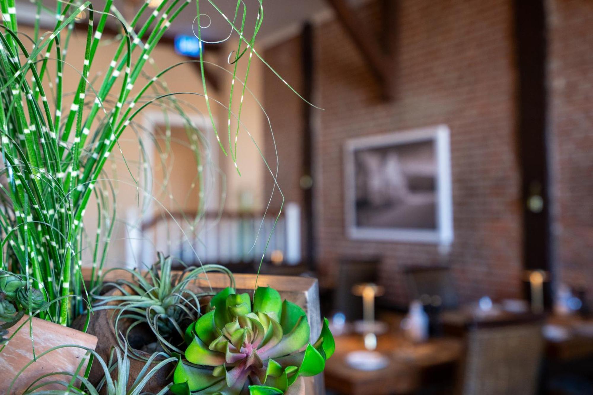 Hotel Villa Tripaldi Schönberg in Holstein エクステリア 写真